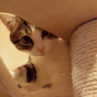 Photo #252744 de FILOU