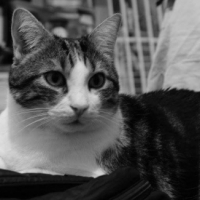 Photo #252746 de FILOU