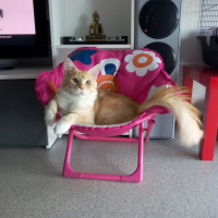 Photo #252831 de Killey'chou