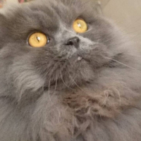 Photo #252979 de Hope