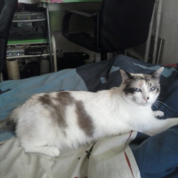 Photo #252983 de neige