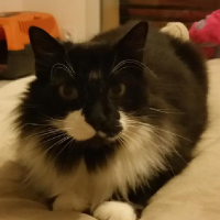 Photo #252990 de Bob