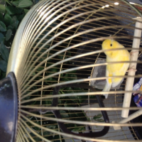 Photo #253027 de Tititte 