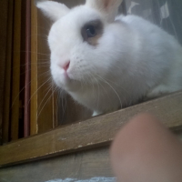 Photo #253107 de Léo