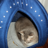 Photo #253212 de Zazie