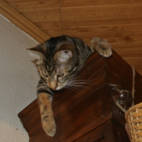 Photo #253296 de Billy