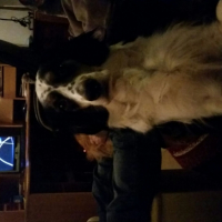 Photo #253333 de bycka