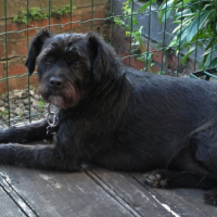 Photo #253340 de Gamin