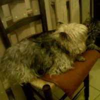Photo #253444 de rita