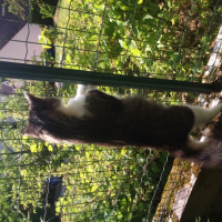 Photo #253504 de chaminou 