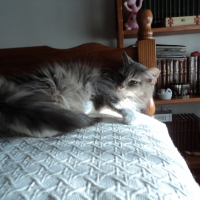 Photo #253506 de Zazie