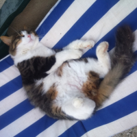Photo #253616 de chaminou 