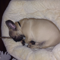 Photo #253633 de Diego