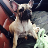 Photo #253634 de Diego