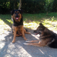 Photo #253655 de Manolo