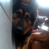 Photo #253659 de Manolo