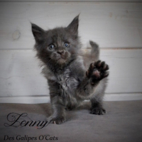 Photo #253765 de Irvana