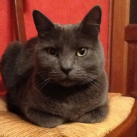 Photo #253836 de Gribouille