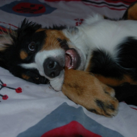 Photo #253906 de Zen