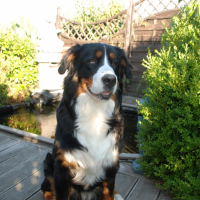 Photo #253907 de Zen