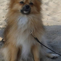 Photo #253934 de Hëlios 