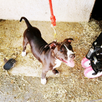 Photo #253962 de Laya