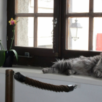 Photo #253972 de Mystie