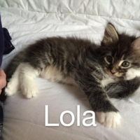 Photo #254105 de lola