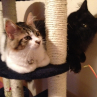 Photo #254108 de lola