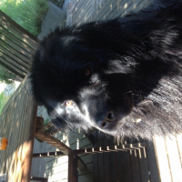 Photo #254146 de Zoé