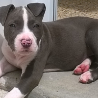 Photo #254169 de Lady