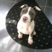 Photo #254171 de Lady