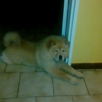 Photo #254201 de Kiara 