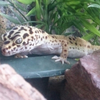 Photo #254263 de Freddy