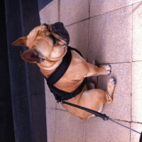 Photo #254269 de Isko