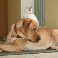 Photo #254457 de Benjie