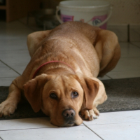Photo #254459 de Benjie