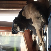 Photo #254473 de MADO
