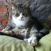 Photo #254521 de Jacky