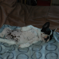 Photo #254528 de Lyllou