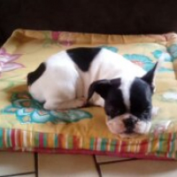 Photo #254529 de Lyllou