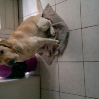 Photo #254710 de Eathon