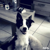 Photo #254824 de Nala