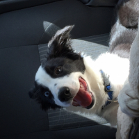 Photo #254825 de Nala