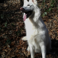 Photo #254960 de D'Jodie