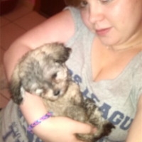 Photo #254966 de chester