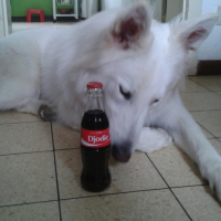 Photo #254993 de D'Jodie