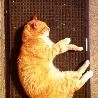 Photo #255053 de kruimel (miette)