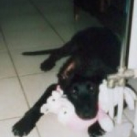 Photo #255117 de Chako