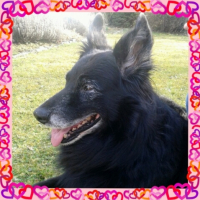 Photo #255118 de Chako